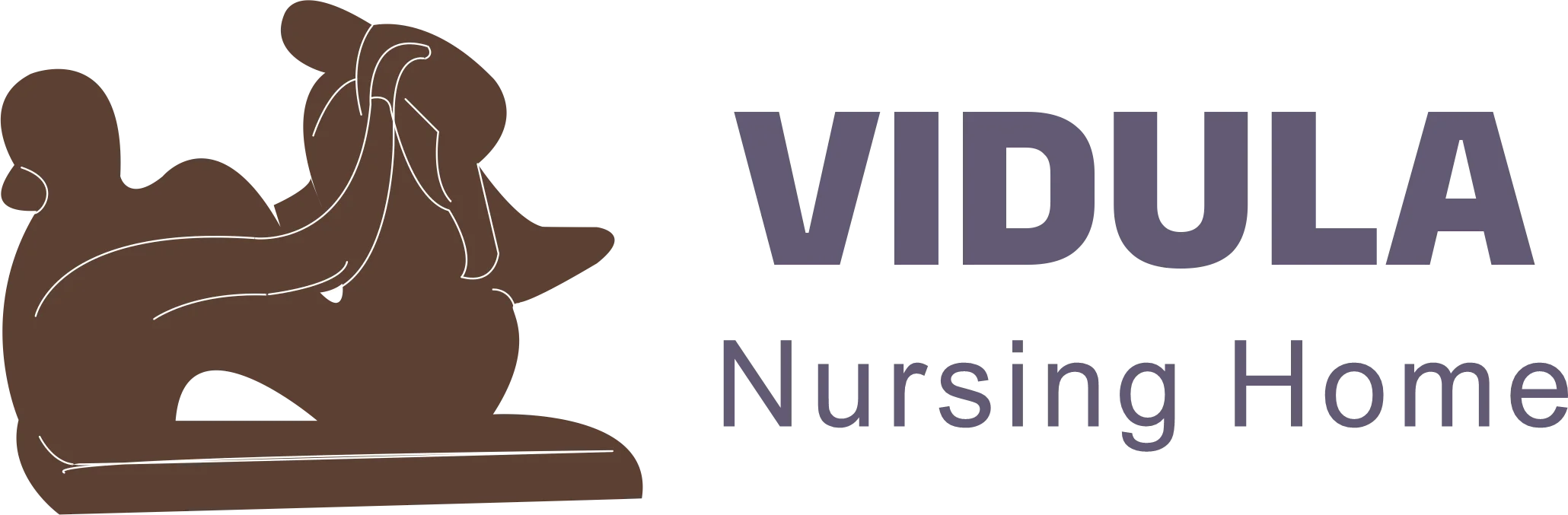 Vidula Nursing Home
